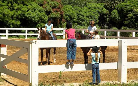 MARITIM EQUESTRIAN CENTRE (Balaclava) .